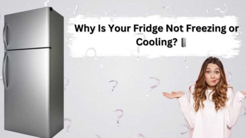 Why Is Your Maytag 50208 Fridge Not Freezing or Cooling? Reasons: