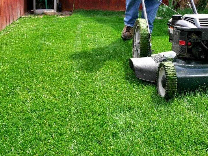 Battery-Powered Tools: The Future of Yard Care
