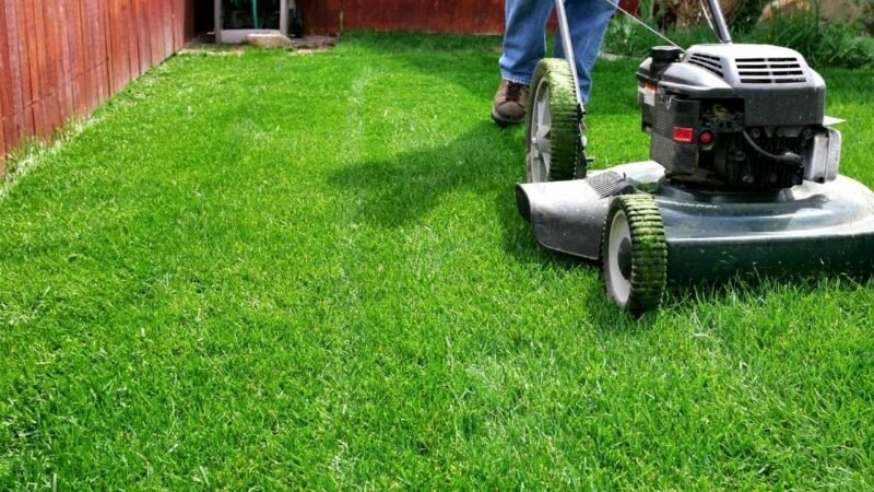Battery-Powered Tools: The Future of Yard Care