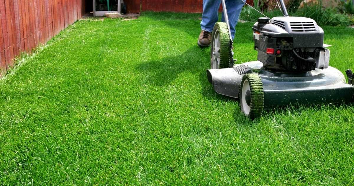 Battery-Powered Tools: The Future of Yard Care